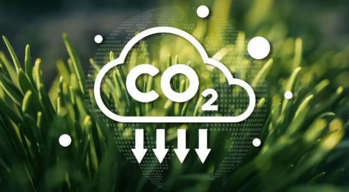 CO₂