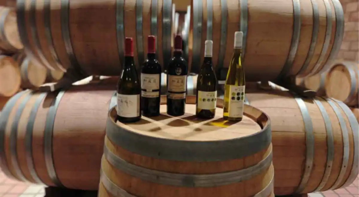 Vino chino en la bodega de Chateau Yuanshi
