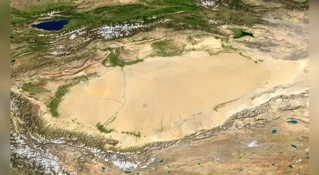 China lleva 50 años plantando árboles en el desierto ahora los satélites muestran que el paisaje absorbe más carbono del que libera