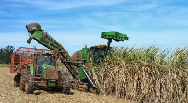 China dejó de comprar cosechadoras de caña y ahora las vende a América Latina