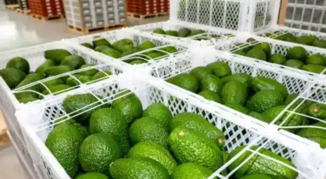 China es uno de los principales destinos de exportación de frutas y hortalizas del Perú