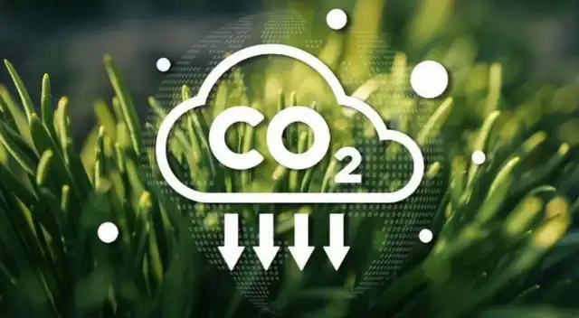 Científicos de China inventaron una membrana para capturar dióxido de carbono