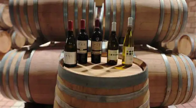 El vino de Ningxia: Un legado chino para el mundo
